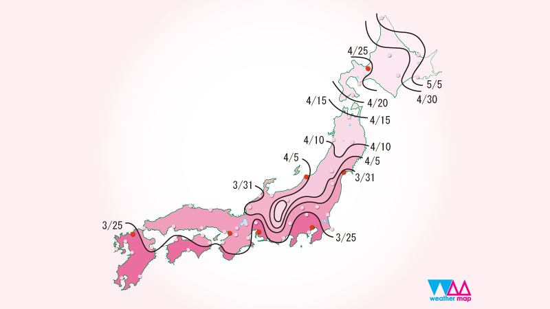 2025 Japan Nationwide Cherry Blossom Bloom Schedule Interface Display