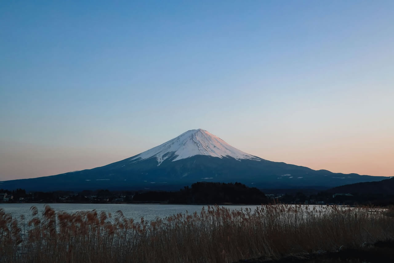 Your Wellness Journey to Japan