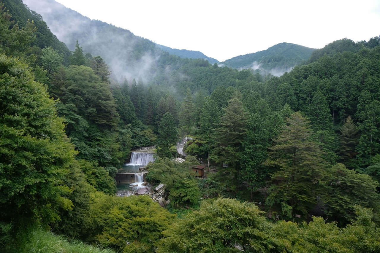 Forest and waterfall in Nagano — ideal for Shinrin-yoku (forest therapy)
