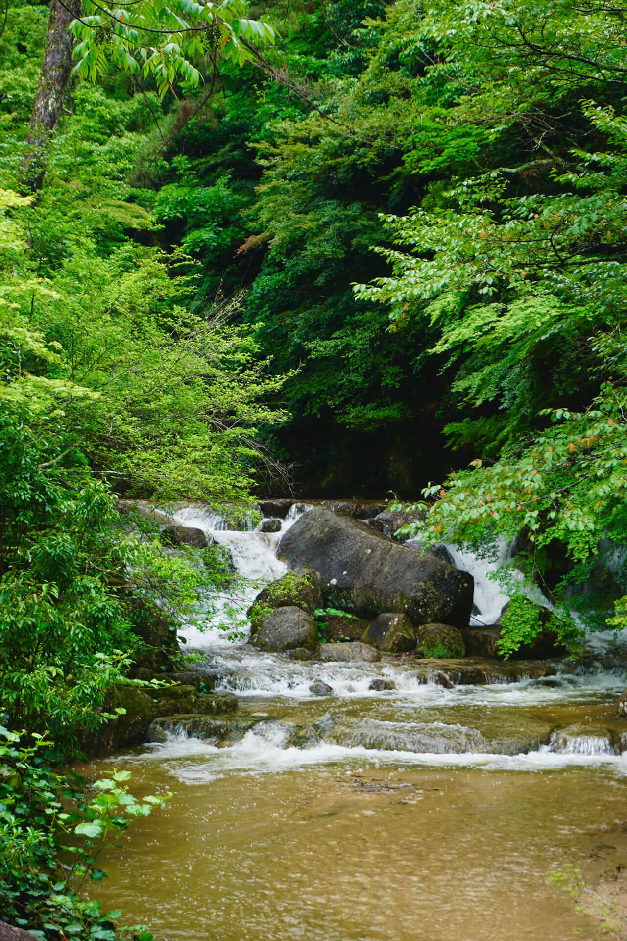 Tranquil mountain stream in Nara — perfect for meditative wellness trips