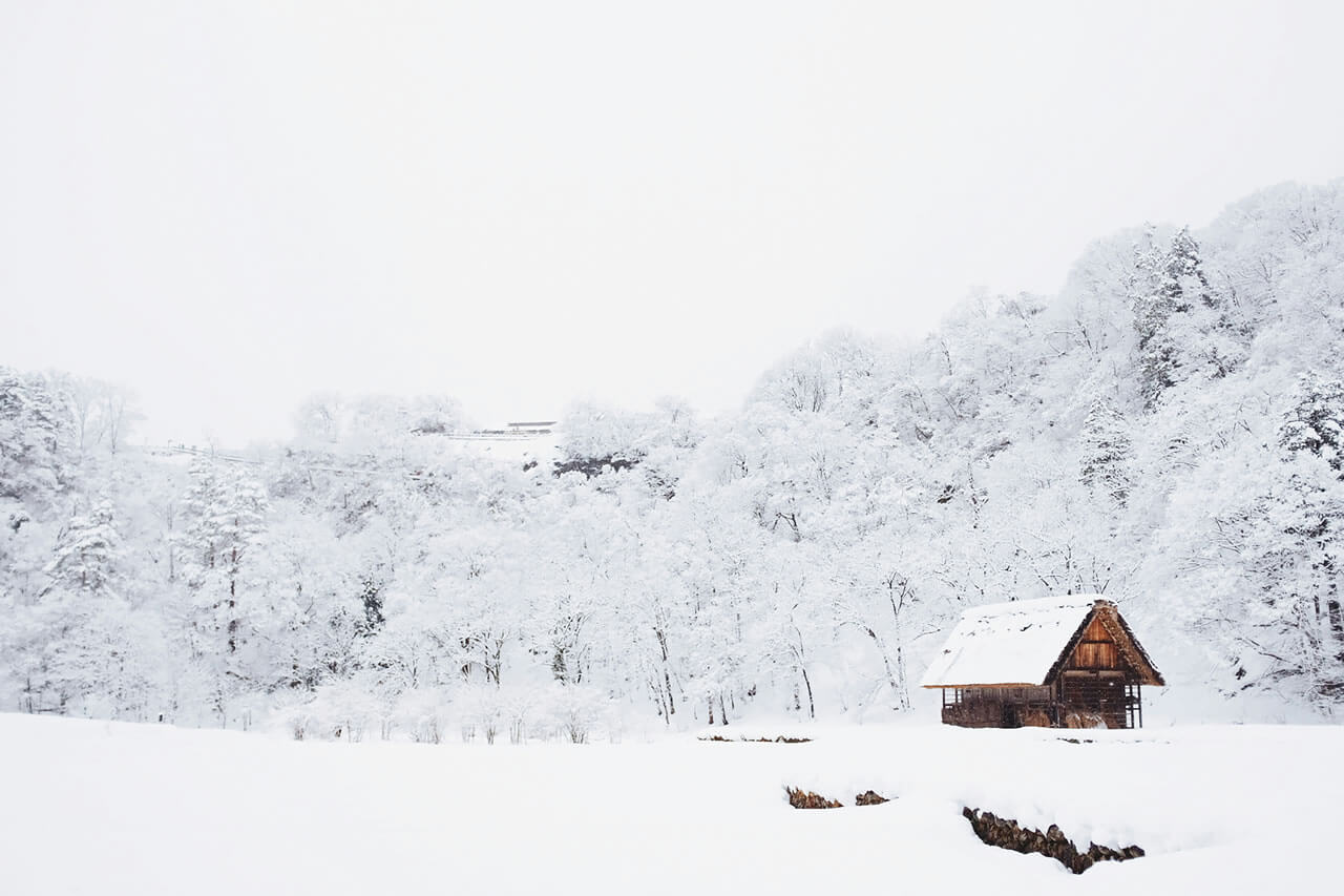 Gassho-style village under a blanket of snow, traditional houses nestled in quiet nature